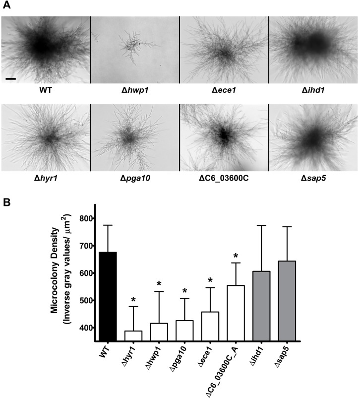 Fig 4