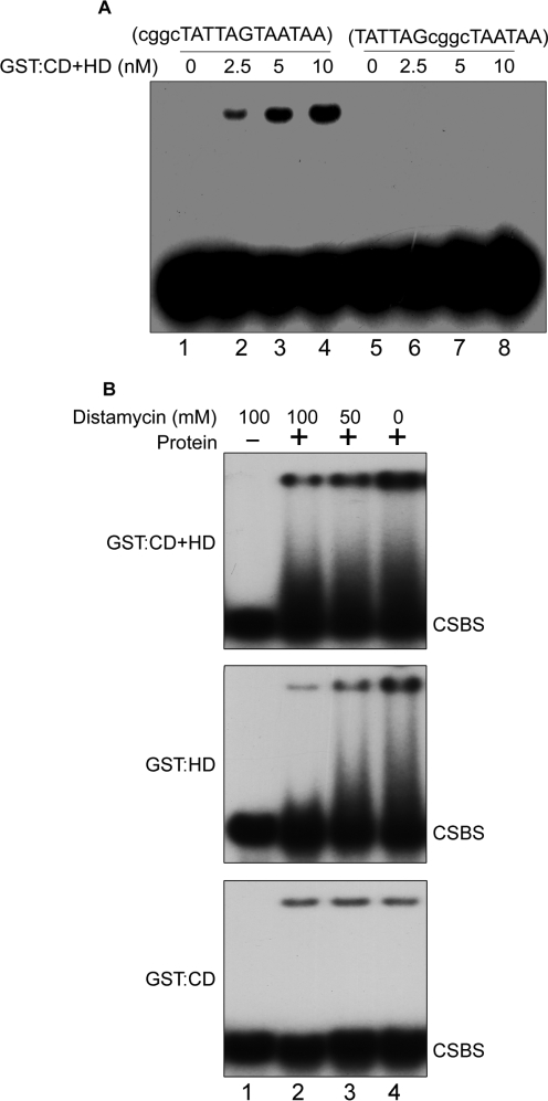 Figure 7.