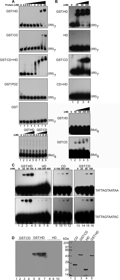 Figure 5.