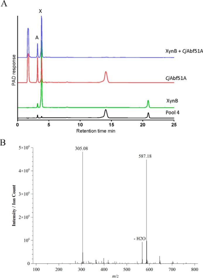 FIGURE 2.