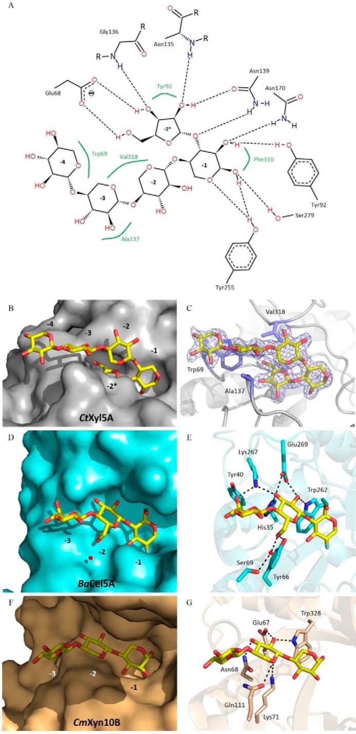 FIGURE 4.