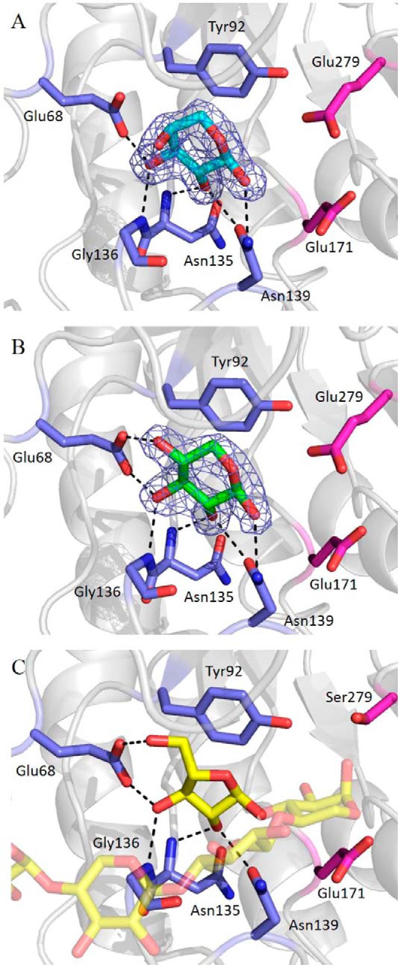 FIGURE 3.