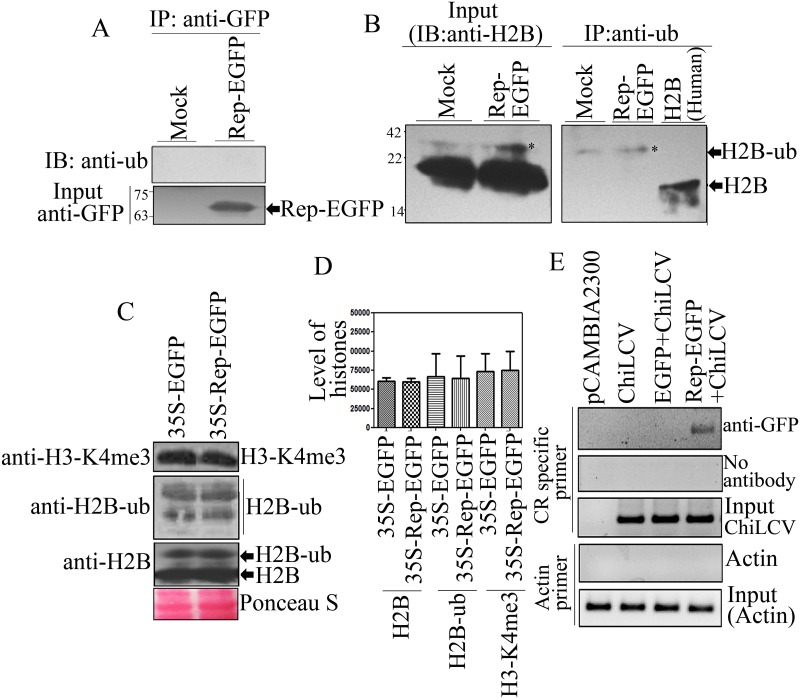 Fig 9