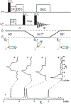 Figure 6: