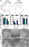 Figure 3—figure supplement 1.