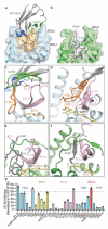 Fig 3.