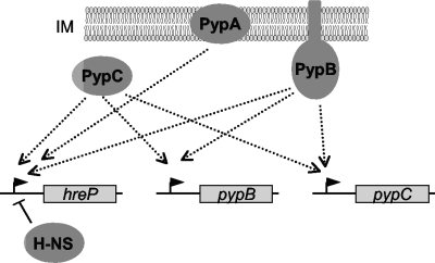 FIG. 5.