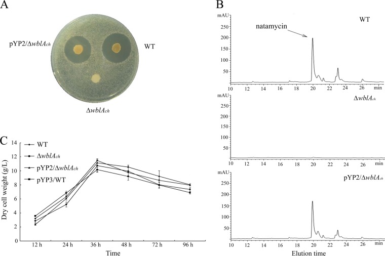 FIG 4