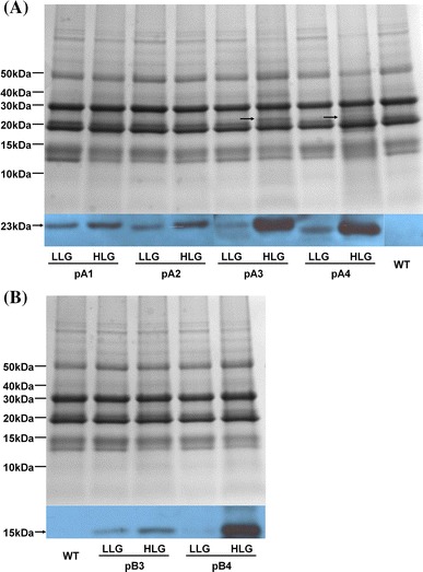 Fig. 2