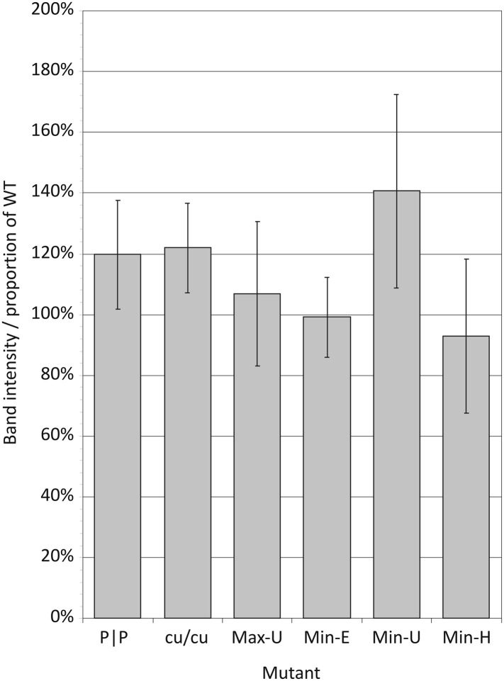 Figure 5—figure supplement 1.