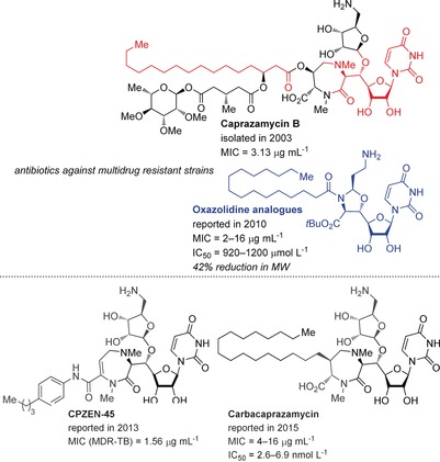 Figure 10