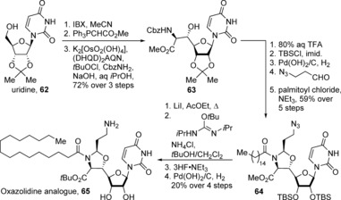 Scheme 8