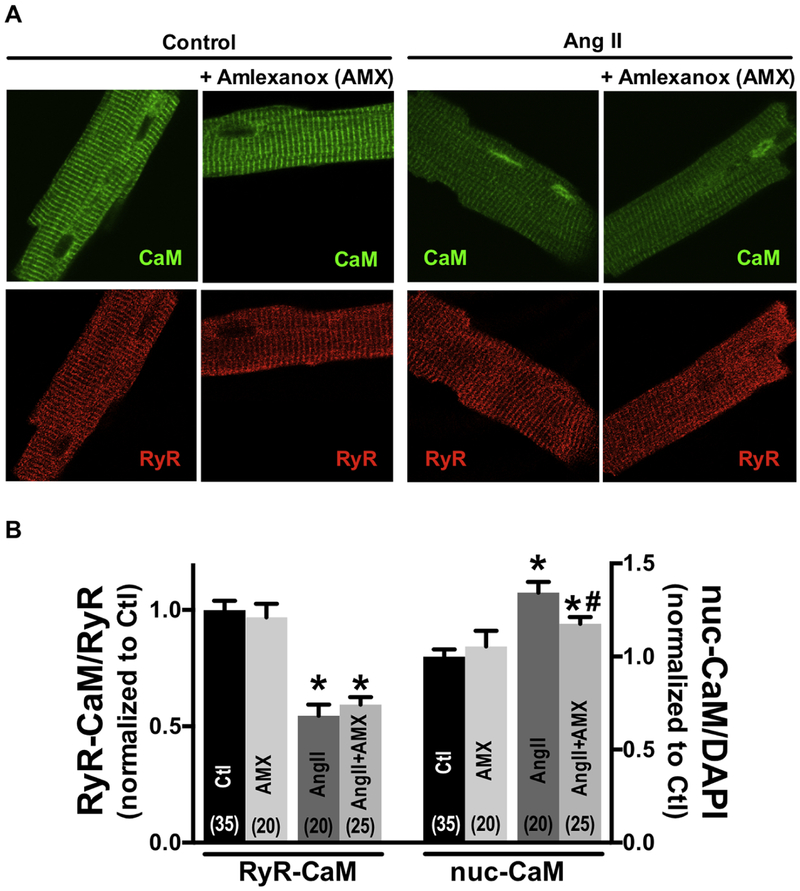 Fig 4.