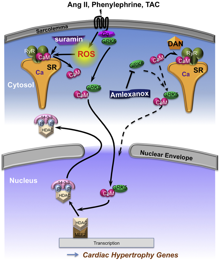 Fig 8.