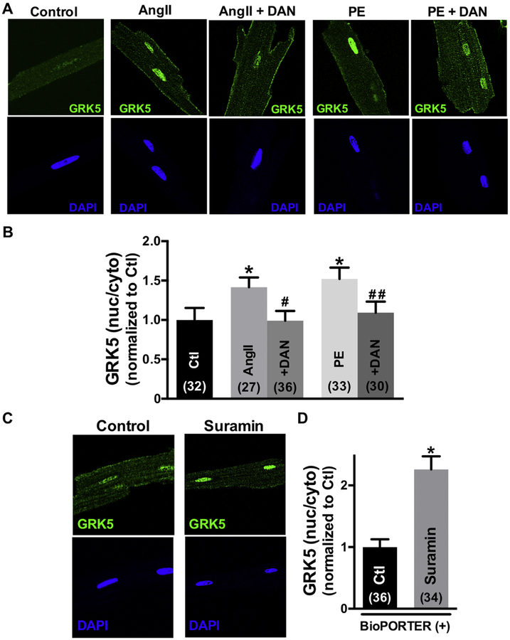 Fig 3.