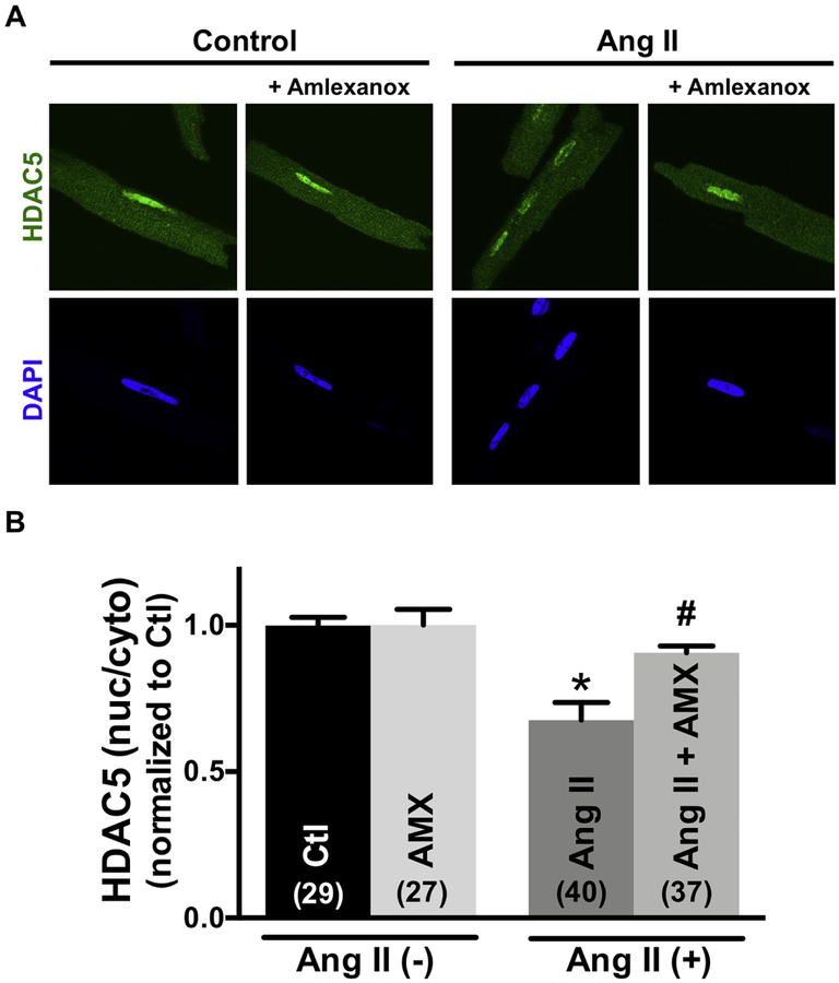 Fig 6.