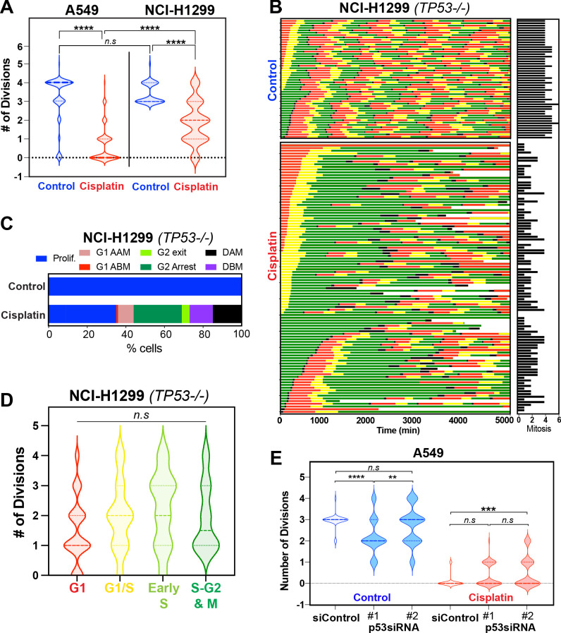 Figure 5—figure supplement 2.