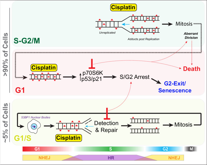 Figure 9.