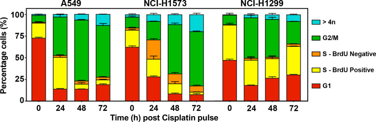 Figure 3—figure supplement 1.