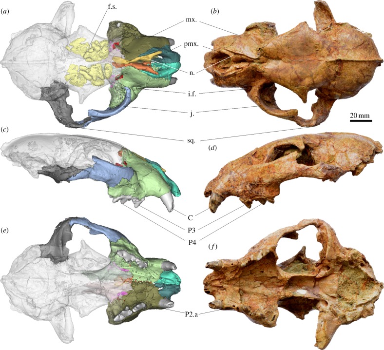 Figure 1.