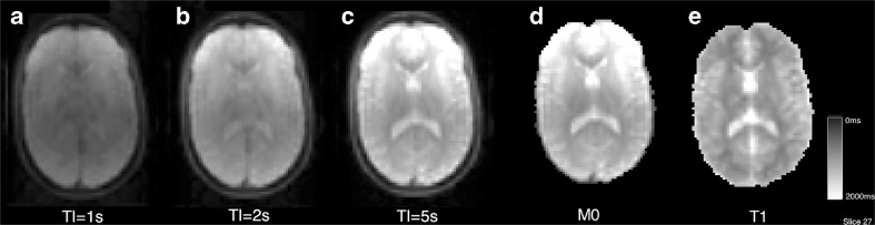 Fig. 5