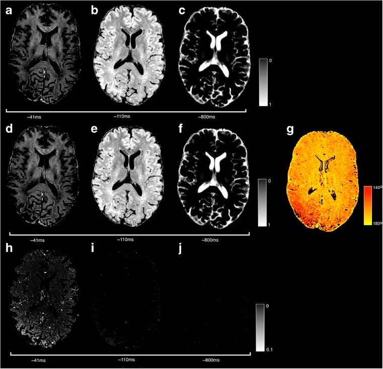 Fig. 10