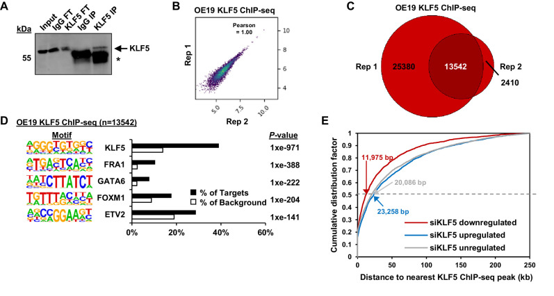 Figure 3—figure supplement 2.