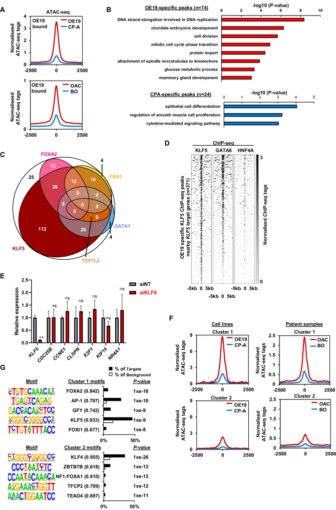 Figure 4—figure supplement 2.