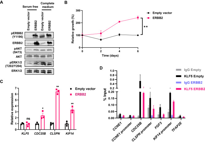 Figure 5—figure supplement 2.