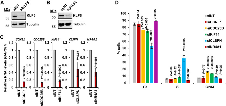 Figure 5—figure supplement 3.