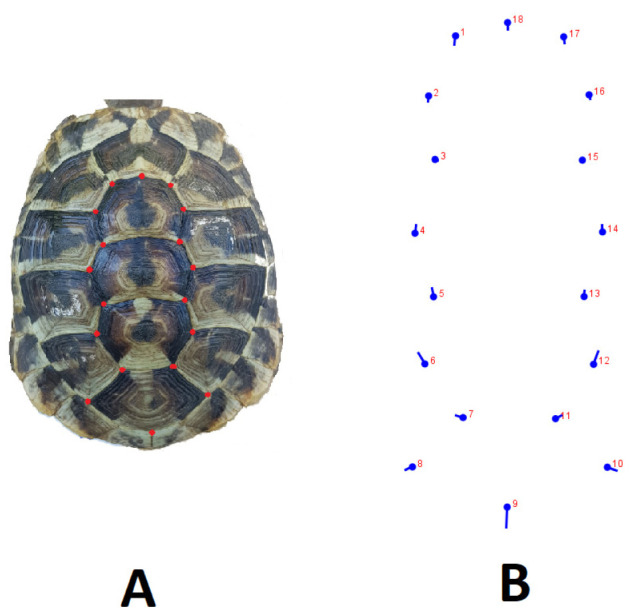 Fig. 2.