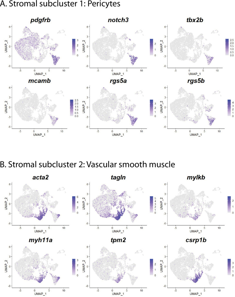 Figure 6—figure supplement 2.