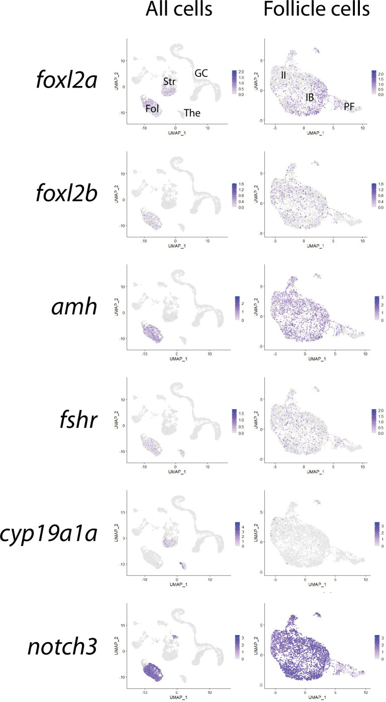 Figure 4—figure supplement 1.