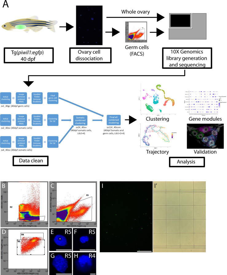 Figure 1—figure supplement 1.