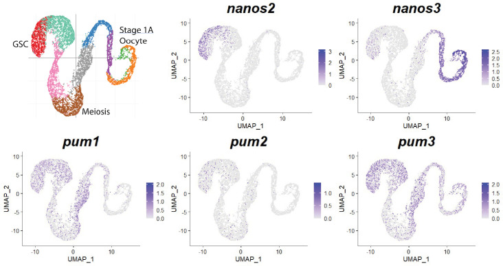 Figure 2—figure supplement 3.