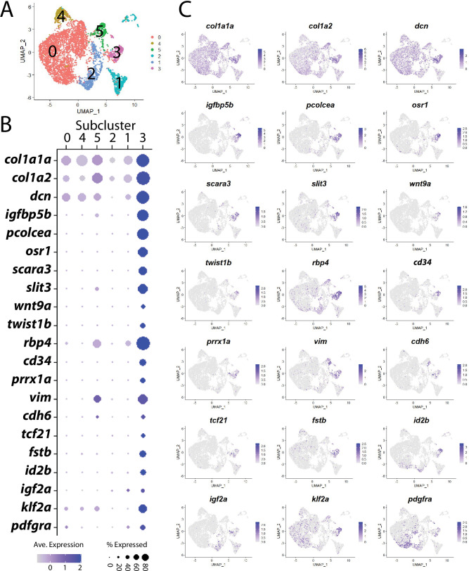 Figure 6—figure supplement 3.