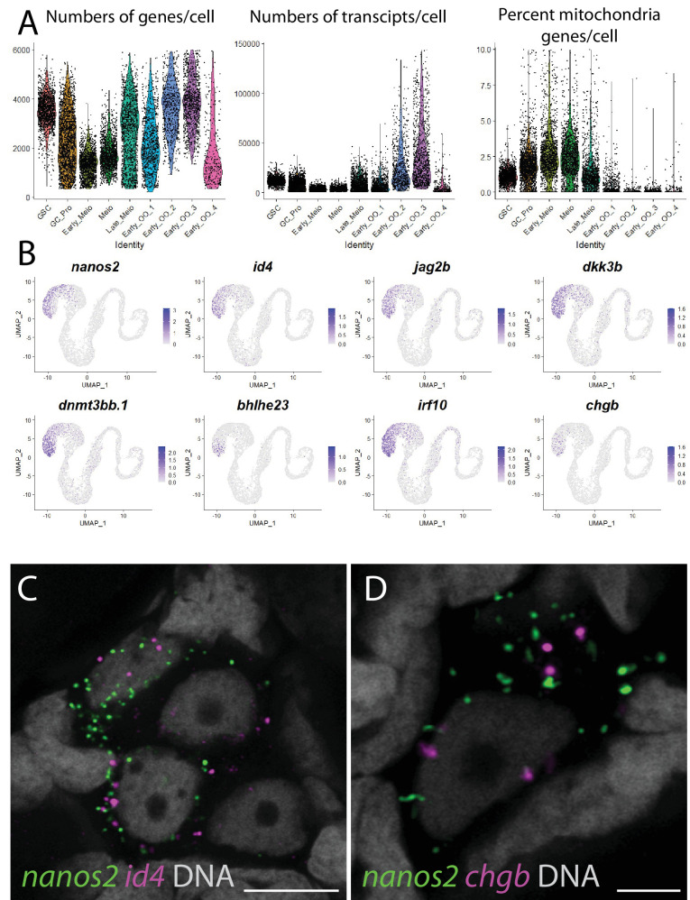 Figure 2—figure supplement 4.