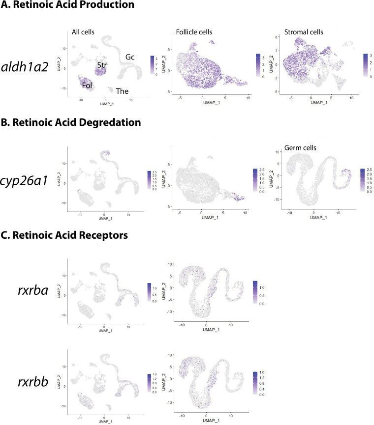 Figure 4—figure supplement 3.