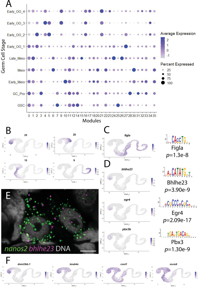 Figure 2—figure supplement 5.