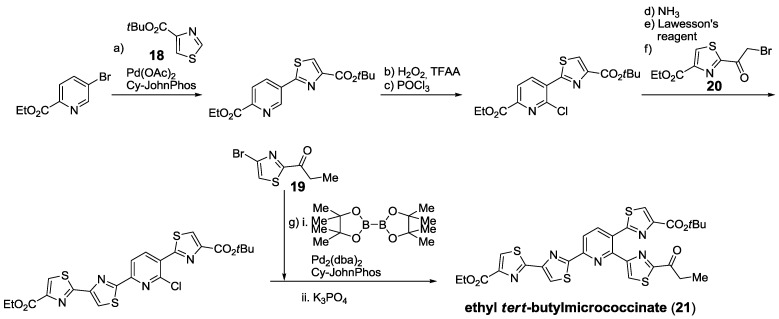 Scheme 8