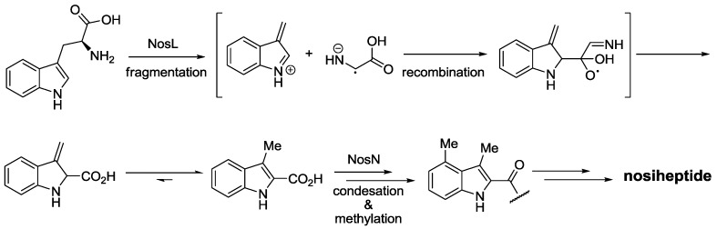 Scheme 2