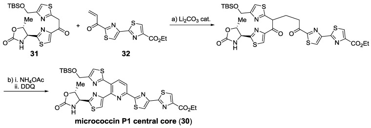 Scheme 10