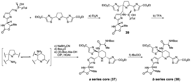 Scheme 12