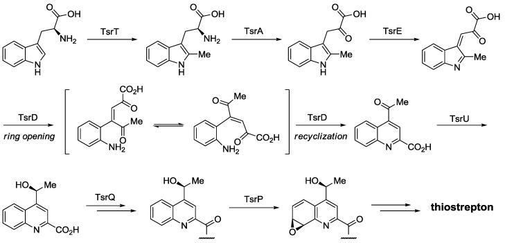 Scheme 3