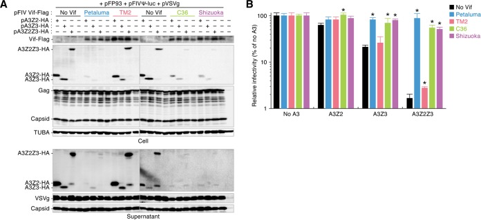 FIG 2