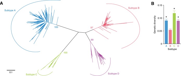 FIG 1