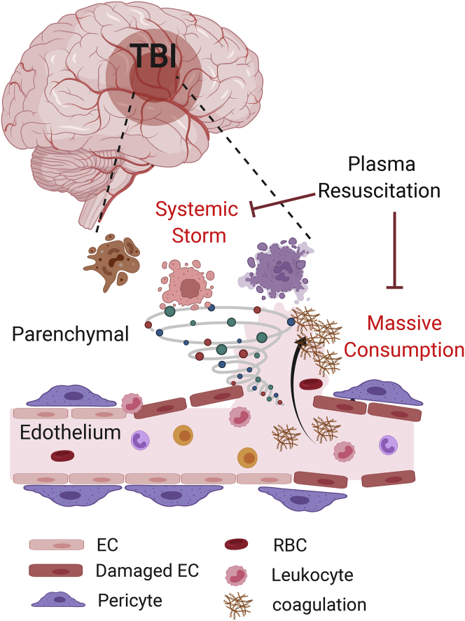 Figure 1