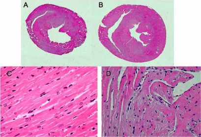 Fig. (1)