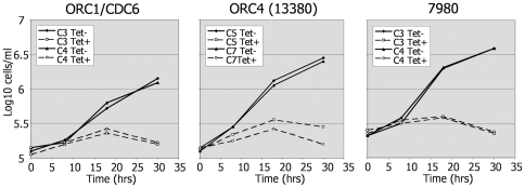 Figure 7