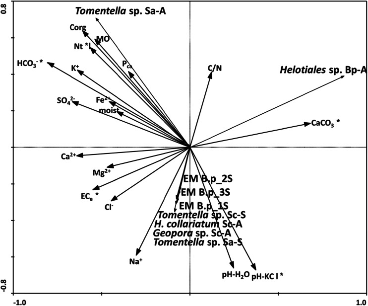 Fig. 5